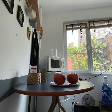 Modern Flat Near Downtown Апартамент Пловдив