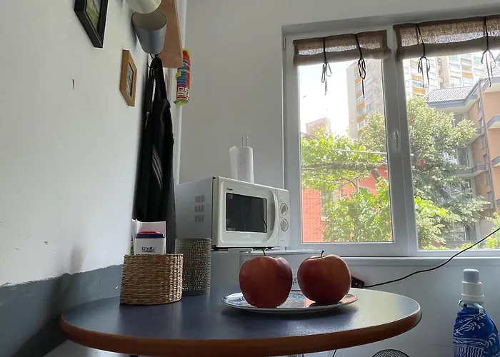 Modern Flat Near Downtown Apartament Płowdiw